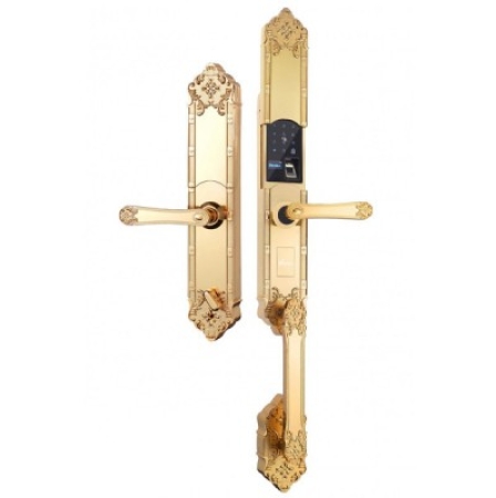 Khóa điện tử Demax SL819 Gold APP Wifi